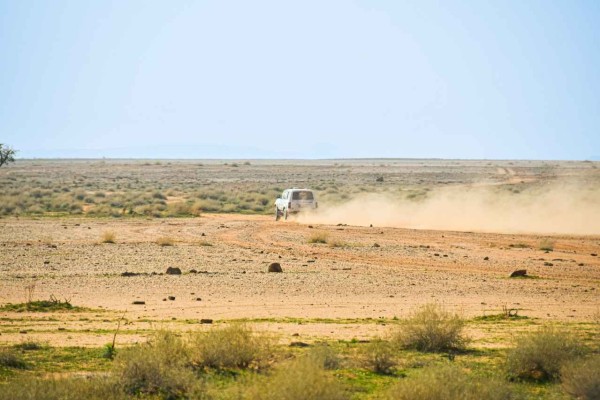 1. Etap Dakar Classic 2024